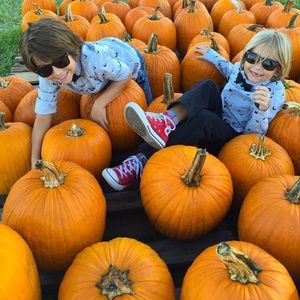 H&M bat print shirt and tie size 7/8